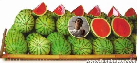 yoo del ambientazoo